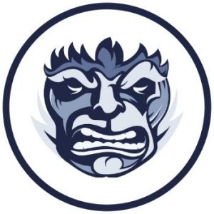 Экспресс-курс «Продвижение ВКонтакте. От первого подписчика до очереди из клиентов» от Convert Monster