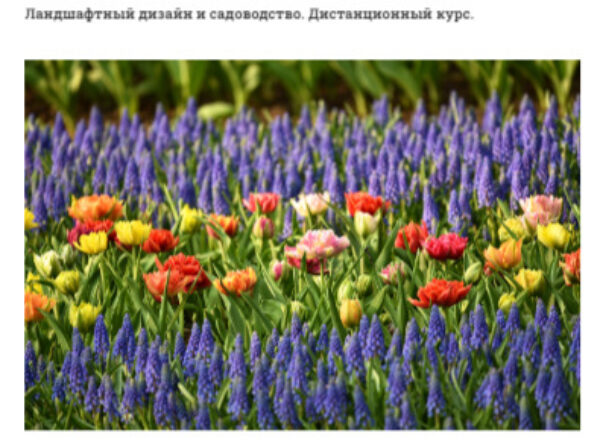 Ландшафтный дизайн и садоводство от Университет старшего поколения