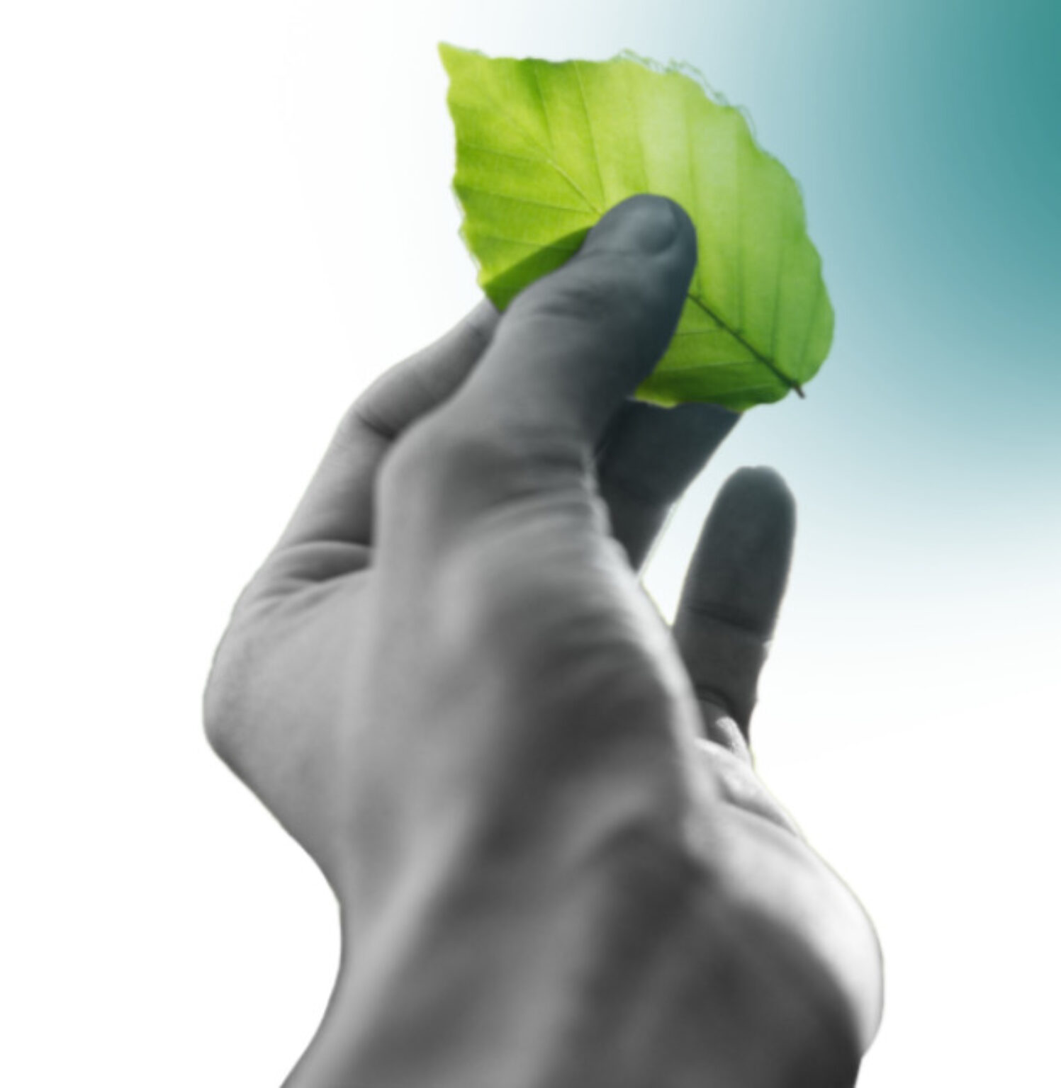 Sustainability и HR. Проект устойчивой трансформации компании от KnowHow