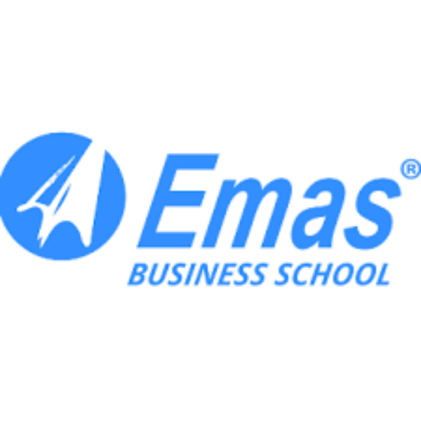 DBA: Стратегический менеджмент. Бизнес в цифровую эпоху от EMAS Russia