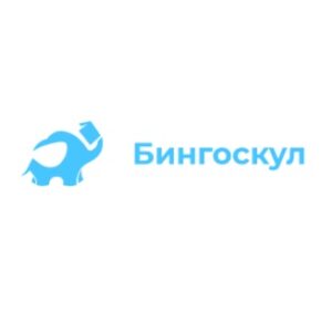Бингоскул