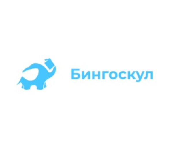 Подготовка онлайн от Бингоскул Бингоскул