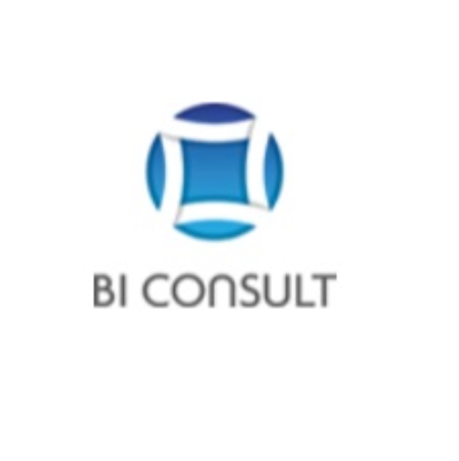 Bi Consult