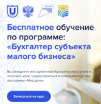 Бухгалтер субъекта малого бизнеса | Содействие занятости