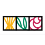 Интерьерная флористика: приемы, техники, нюансы от Puzzle Brain