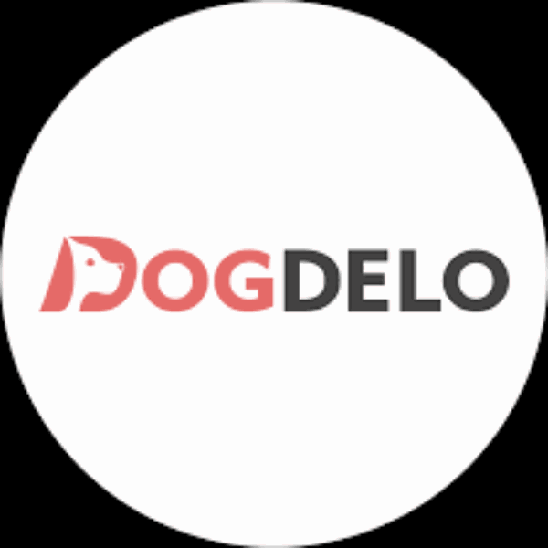 Освой специальность грумера от Dog Delo
