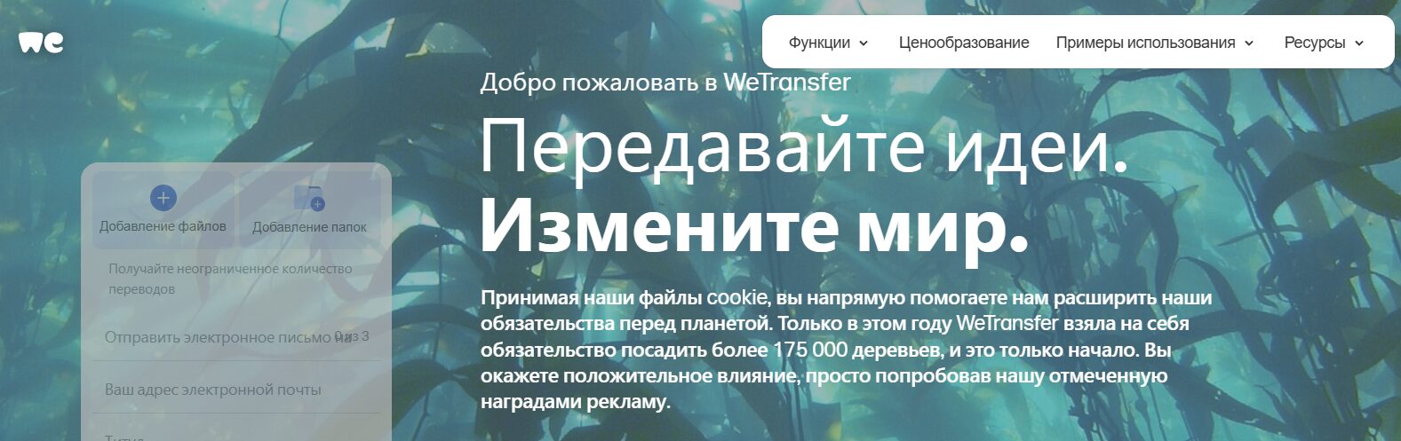 Как передать большой файл через интернет: 20 лучших сервисов