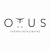 Отзывы об онлайн-школе Otus