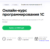 Программирование 1С от Irs.academy