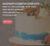 БАЗОВЫЙ КОНДИТЕРСКИЙ КУРС от The Cake School