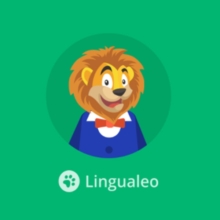Грамматика китайского языка от LinguaLeo
